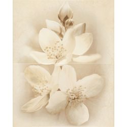 Декоративная плитка настенная, цветы, 40х50 см CERSANIT Diana Flower Composition (301650)