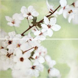 Декоративная плитка настенная, белая, цветы, 59,4х60 см OPOCZNO Early Spring Panno Flower (319852)